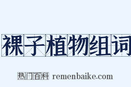 裸子植物组词是什么意思的图片